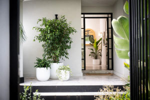 Luna Pot - White | Melbourne Indoor Plants