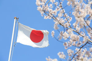 Honeymoon Trip to Japan