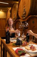 Vineyard Wine Tasting and Dinner on Honeymoon