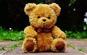 Teddy Bear