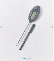 Meat/baking thermometer