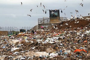 Mixed Waste Tip Fees