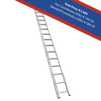 1 Push-Up Extension Ladder
