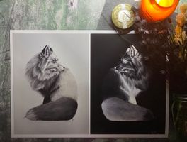 Seeker inverted dual print
