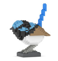 Jekca Superb Fairywren