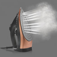 Sunbeam Iron