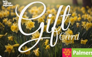 Gift cards - Palmers