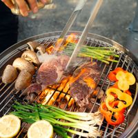 The barbecue we have been discussing for some time