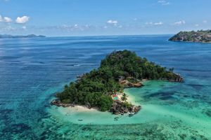 Honeymoon Flights