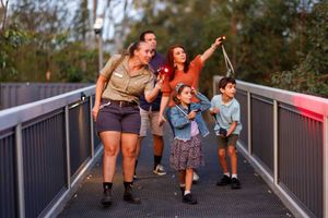 Lone Pine Koala Sanctuary Nocturnal Twilight Tour