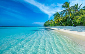 Honeymoon