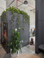Large Free Standing Pot Plants